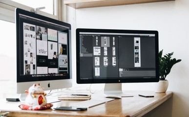 数字遗产视角下的网站价值与数字内容制作服务